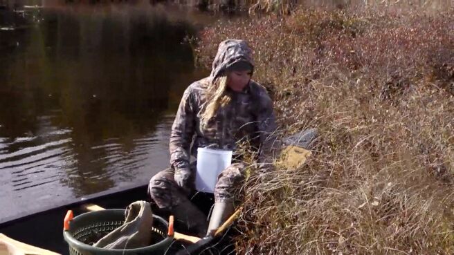 Wild Fed season 1 episode 9 on Discovery Plus