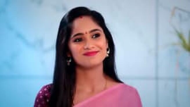 Vidhya No. 1 season 1 episode 19 on Zee5