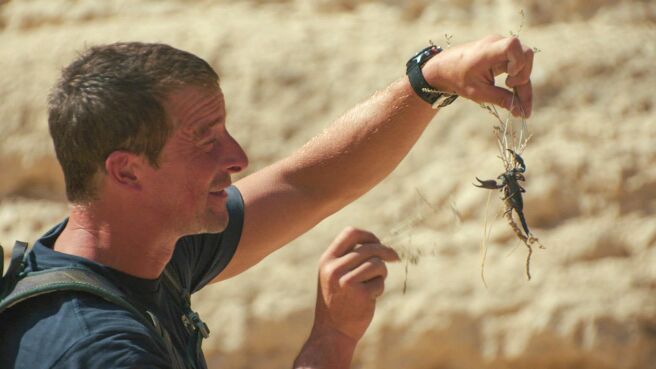 Jesus: Refugee, Renegade, Redeemer With Bear Grylls season 1 episode 2 on Discovery Plus