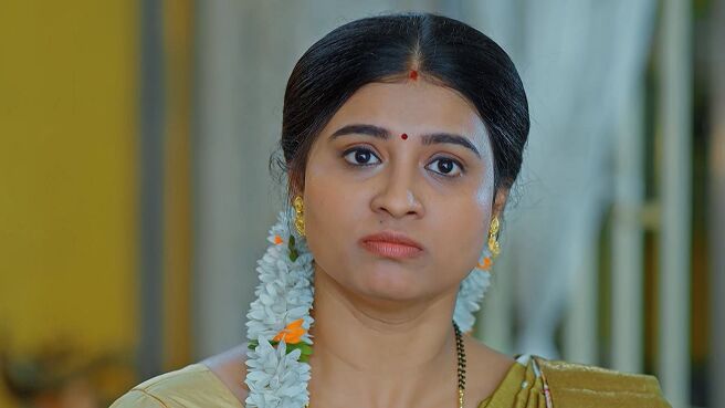 Lakshmi Nivasam season 1 episode 17 on Zee5
