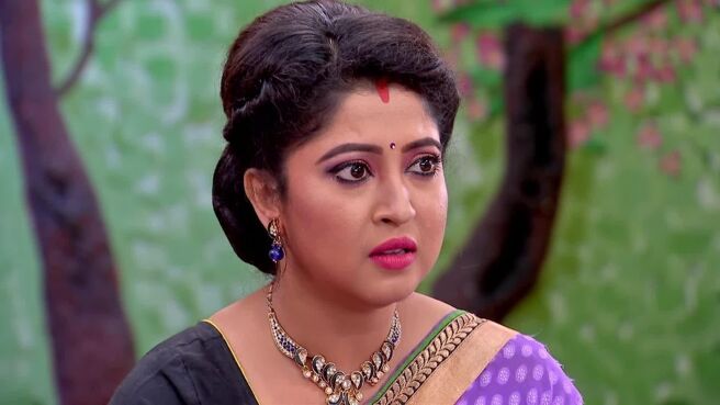 Bokul Kotha season 1 episode 243 on Zee5