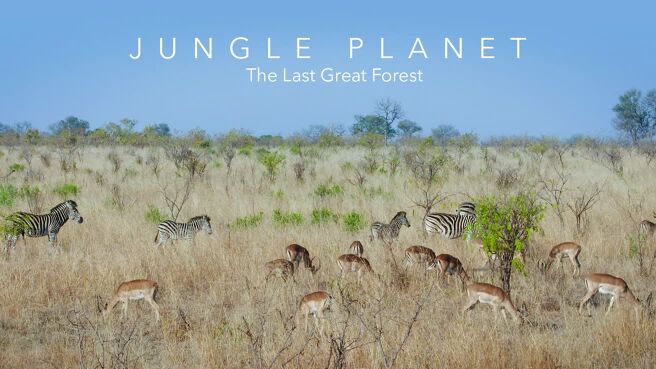 Jungle Planet on Discovery Plus