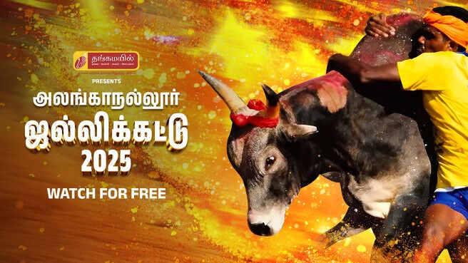 Jallikattu 2025 on Zee5