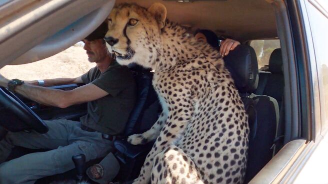 The Bond season 1 episode 4 on Discovery Plus