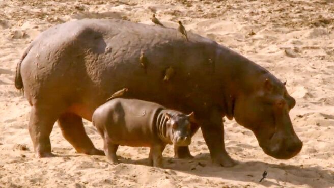 The Big Dry season 1 episode 1 on Discovery Plus