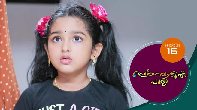 Swargavathil Pakshi season 1 episode 16 on Sun NXT