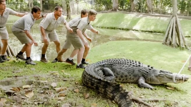 Crikey! It's the Irwins season 2 episode 5 on Discovery Plus