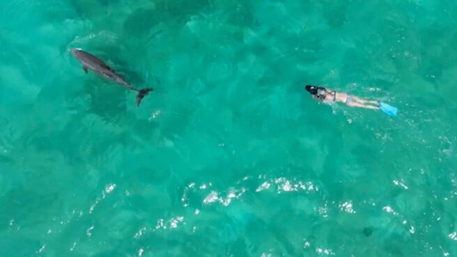 The Bond season 1 episode 2 on Discovery Plus