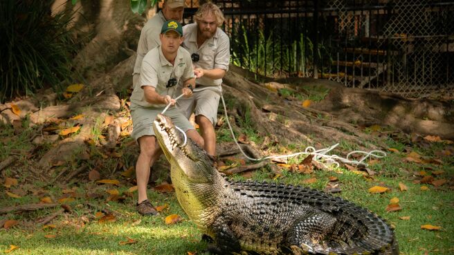 Crikey! It's the Irwins season 2 episode 1 on Discovery Plus