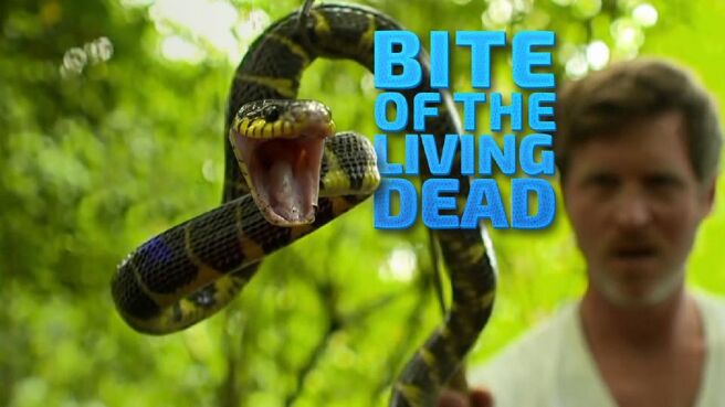Bite Of The Living Dead on Discovery Plus