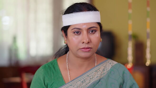 Mane Aliya season 1 episode 35 on Zee5