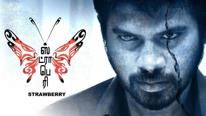 Strawberry on Sun NXT