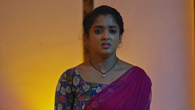 Meghasandesha season 1 episode 50 on Zee5