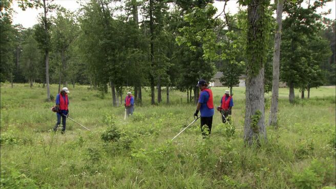 How Do They Do It? season 8 episode 12 on Discovery Plus