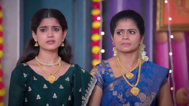 Chinnan Siru Kiliye season 1 episode 18 on Zee5