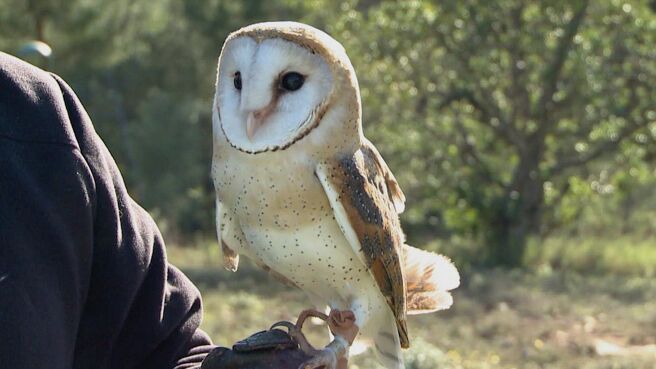 Epic Animal Encounters season 1 episode 6 on Discovery Plus