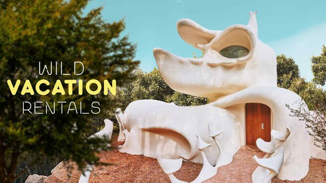 Wild Vacation Rentals on Discovery Plus