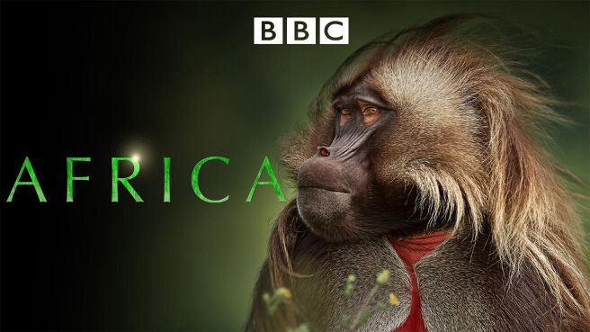 Africa on Discovery Plus