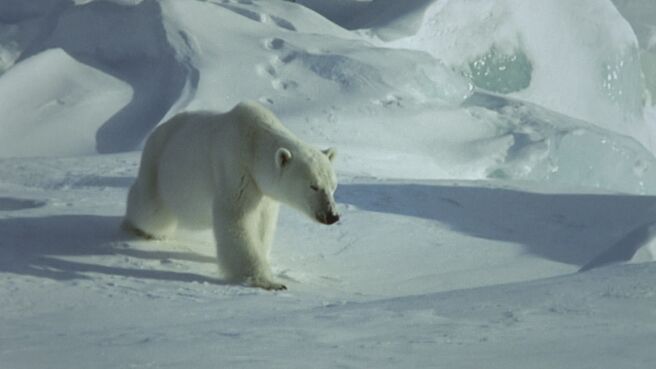 Wildest Europe season 1 episode 1 on Discovery Plus