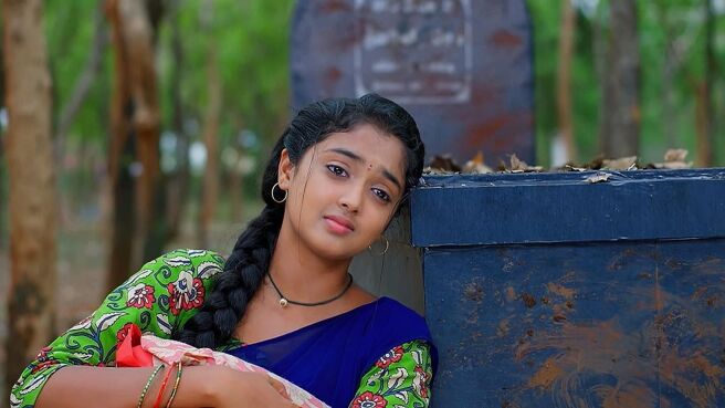 Meghasandesha season 1 episode 32 on Zee5