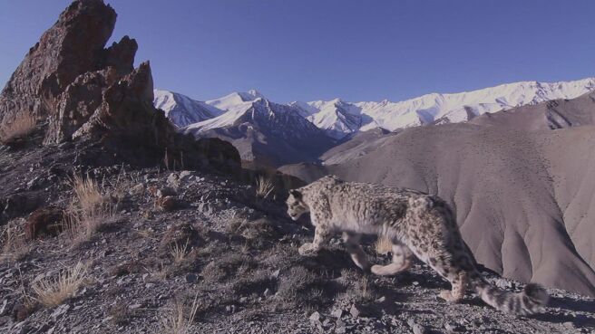 Heroes Of The Wild Frontiers season 1 episode 2 on Discovery Plus