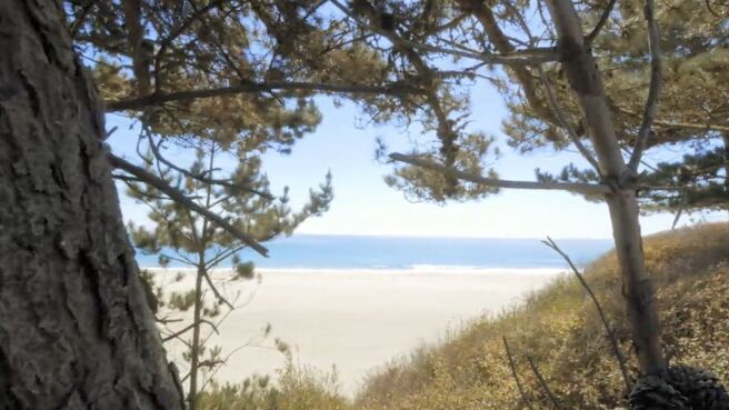 Jungle Planet season 1 episode 7 on Discovery Plus