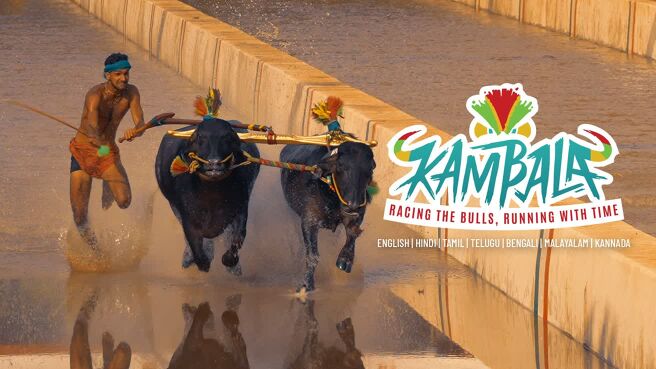 Kambala: Racing the Bulls on Discovery Plus
