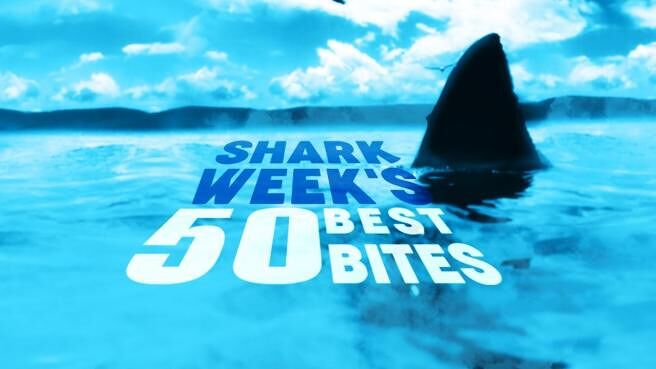 Shark Week's 50 Best Bites on Discovery Plus