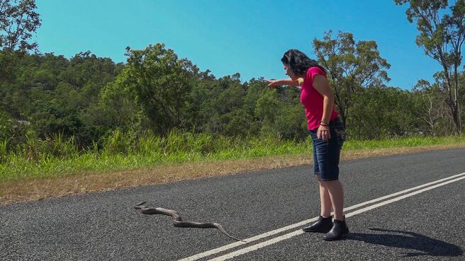 Snake Catcher: Down Under season 1 episode 3 on Discovery Plus