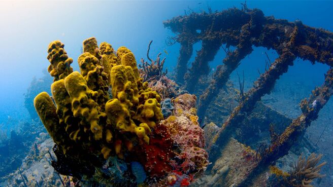 The Americas season 1 episode 8 on Discovery Plus