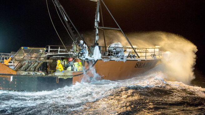 Deadliest Catch season 10 episode 4 on Discovery Plus