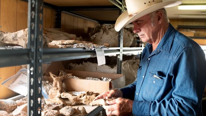 Dino Hunters season 1 episode 4 on Discovery Plus