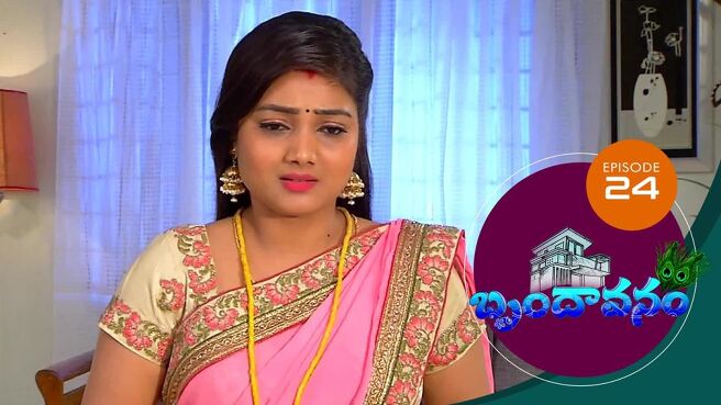 Brundavanam season 1 episode 24 on Sun NXT