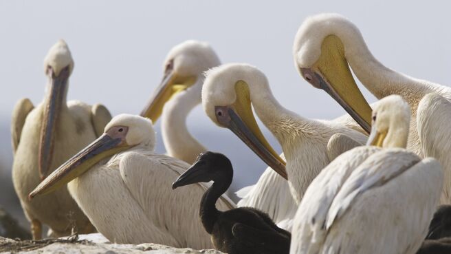 Life season 1 episode 5 on Discovery Plus