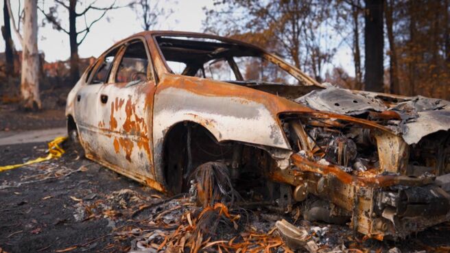 Surviving Australia season 1 episode 4 on Discovery Plus