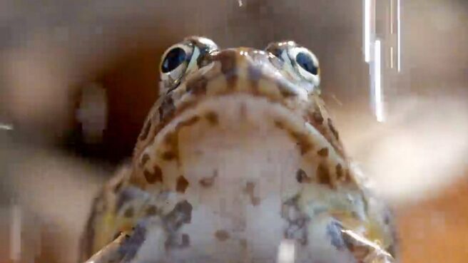 The Big Dry season 1 episode 3 on Discovery Plus