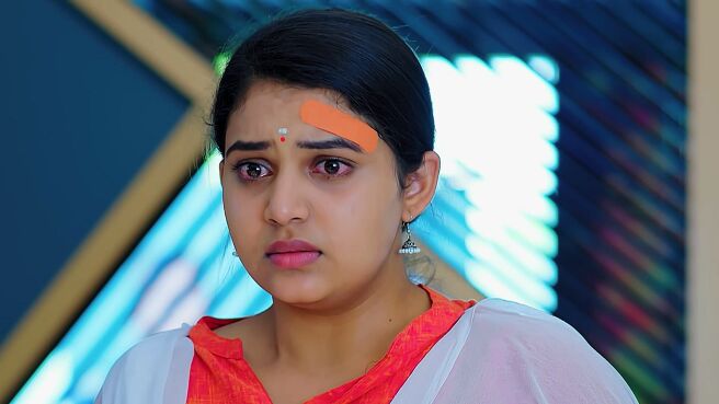 Geetha Govinda season 1 episode 46 on Zee5