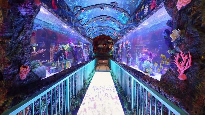 Tanked season 6 episode 10 on DiscoveryPlus