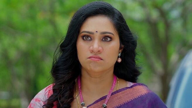 Meghasandesha season 1 episode 46 on Zee5