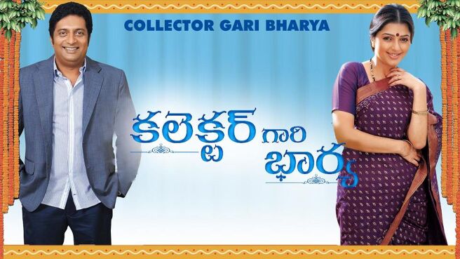 Collector Gari Bharya on Sun NXT