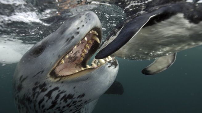 Life season 1 episode 1 on Discovery Plus