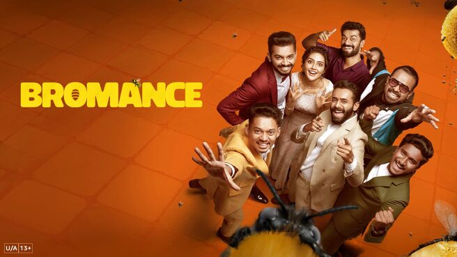 Bromance on Sony LIV