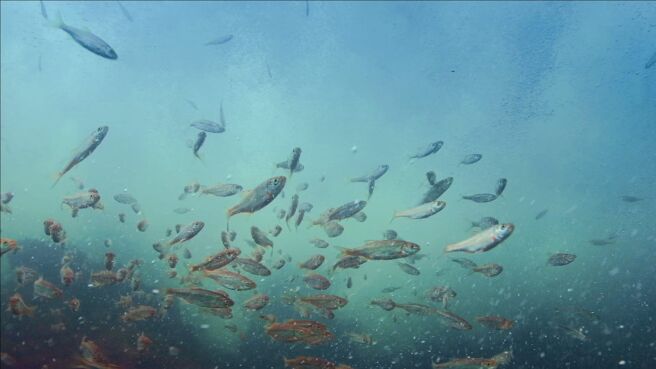 Earth's Great Rivers season 2 episode 1 on Sony LIV