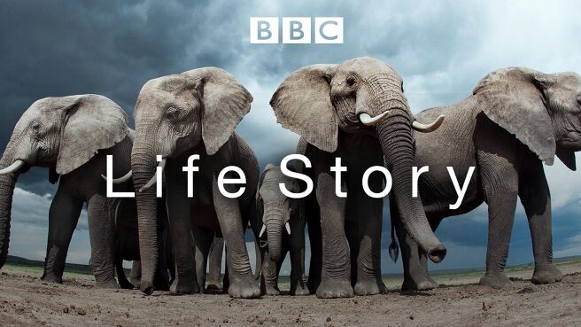 Life Story on Discovery Plus