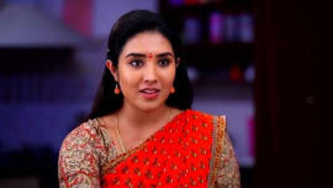 Deivam Thantha Poove season 1 episode 15 on Zee5