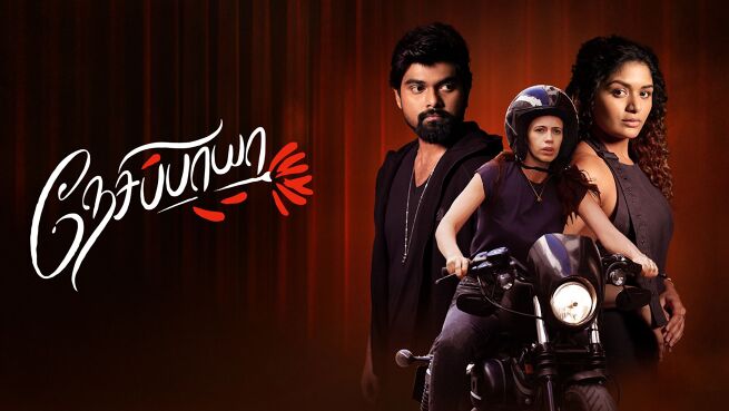 Nesippaya on LionsGate Play