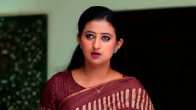 Kalyanam Kamaneeyam season 1 episode 408 on Zee5