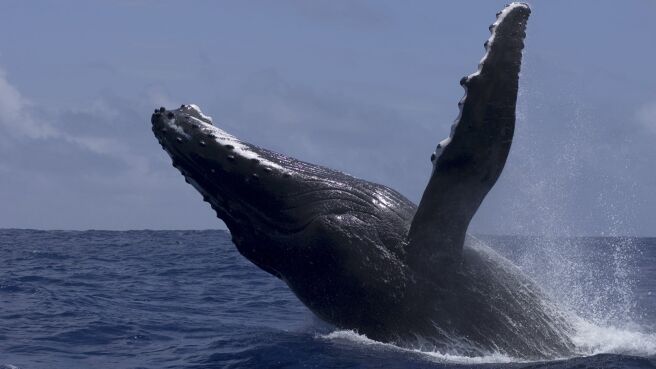 Life season 1 episode 3 on Discovery Plus