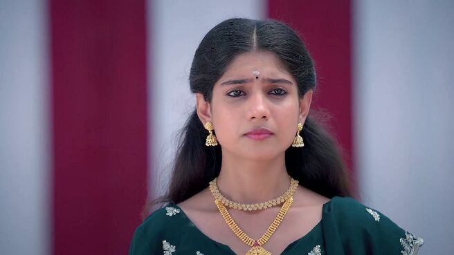 Chinnan Siru Kiliye season 1 episode 17 on Zee5