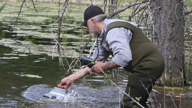 Expedition Bigfoot season 1 episode 7 on Discovery Plus